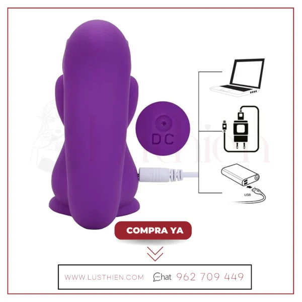 Ardilla Winyi - Imagen 3