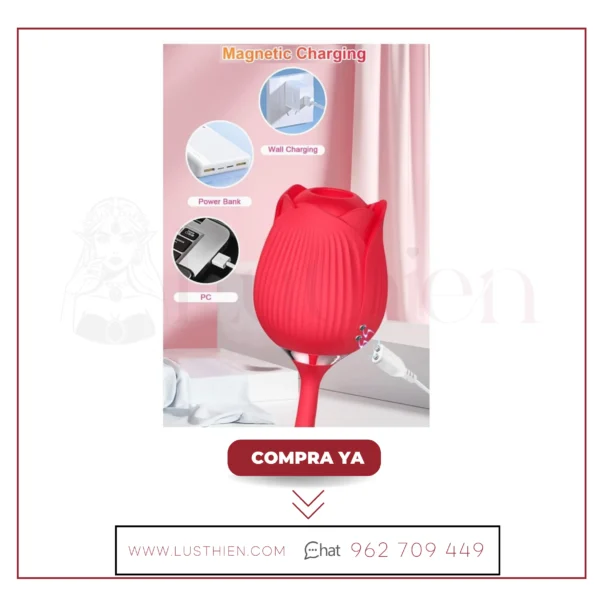 ROSA WINYI - Imagen 3