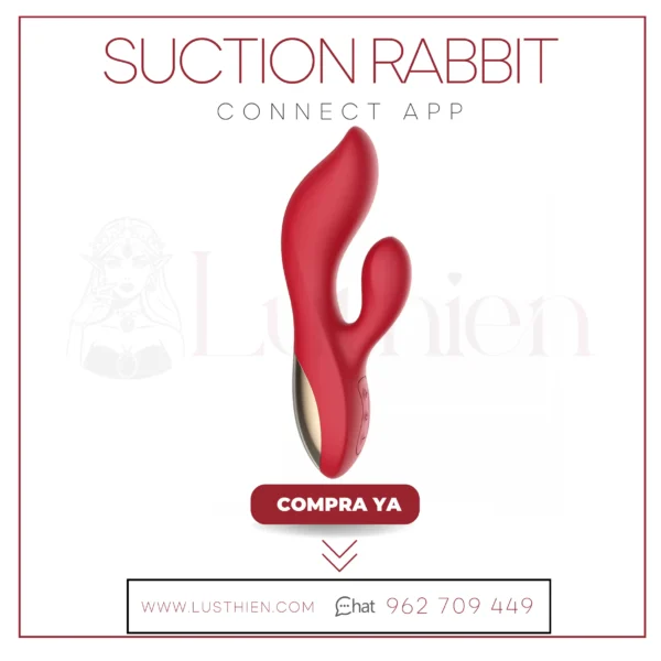 SUCTION RABBIT WINYI