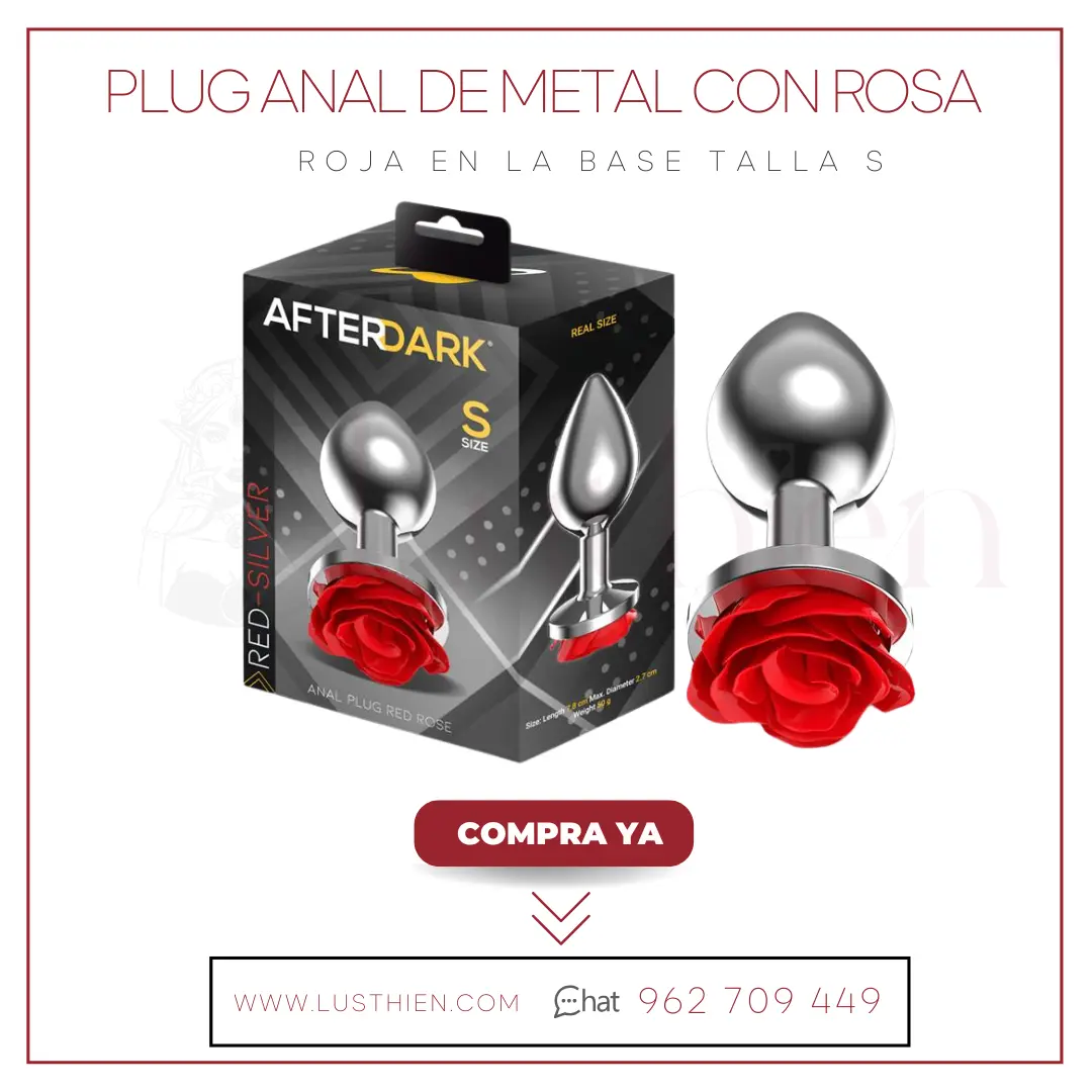 Plug Anal de Metal con Rosa Roja en la Base Talla S - Afterdark